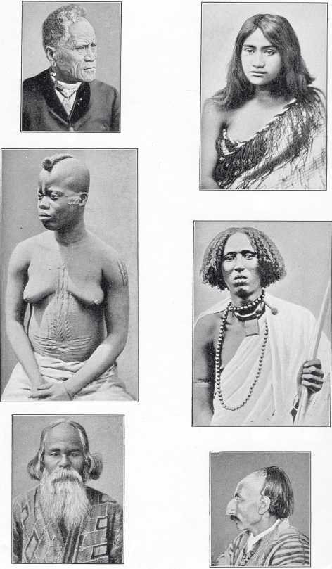 Иллюстрация к книге — Древние цивилизации [i_004.jpg]