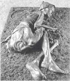 Иллюстрация к книге — Древние цивилизации [i_010.jpg]