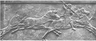 Иллюстрация к книге — Древние цивилизации [i_164.jpg]