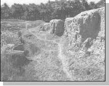 Иллюстрация к книге — Древние цивилизации [i_171.jpg]