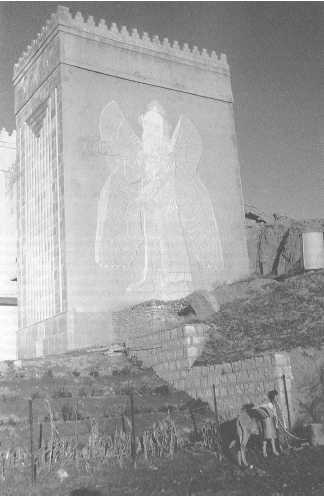 Иллюстрация к книге — Древние цивилизации [i_192.jpg]