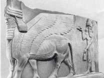 Иллюстрация к книге — Древние цивилизации [i_230.jpg]