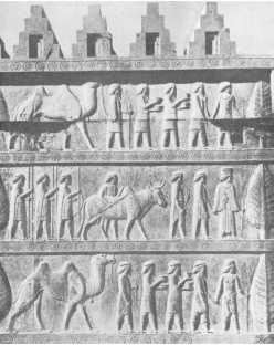 Иллюстрация к книге — Древние цивилизации [i_249.jpg]