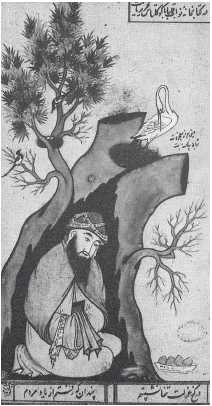 Иллюстрация к книге — Древние цивилизации [i_331.jpg]