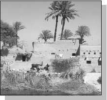 Иллюстрация к книге — Древние цивилизации [i_408.jpg]