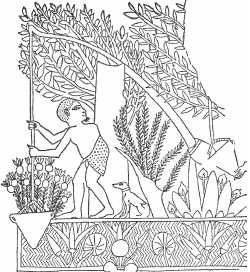 Иллюстрация к книге — Древние цивилизации [i_410.jpg]