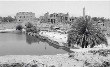 Иллюстрация к книге — Древние цивилизации [i_465.jpg]