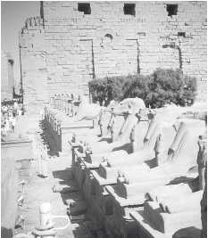 Иллюстрация к книге — Древние цивилизации [i_476.jpg]