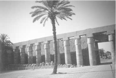 Иллюстрация к книге — Древние цивилизации [i_488.jpg]