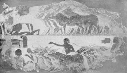 Иллюстрация к книге — Древние цивилизации [i_499.jpg]