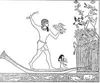 Иллюстрация к книге — Древние цивилизации [i_505.jpg]