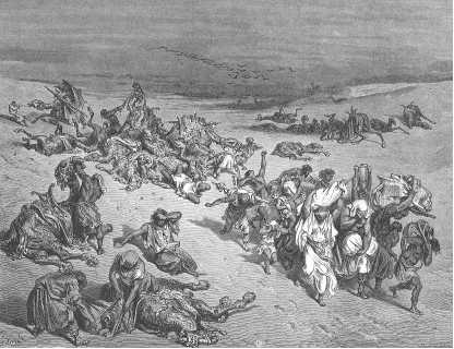 Иллюстрация к книге — Древние цивилизации [i_542.jpg]