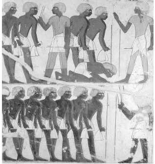 Иллюстрация к книге — Древние цивилизации [i_544.jpg]