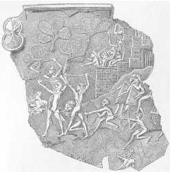 Иллюстрация к книге — Древние цивилизации [i_581.jpg]