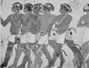 Иллюстрация к книге — Древние цивилизации [i_582.jpg]