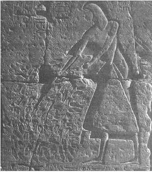 Иллюстрация к книге — Древние цивилизации [i_589.jpg]