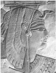 Иллюстрация к книге — Древние цивилизации [i_615.jpg]