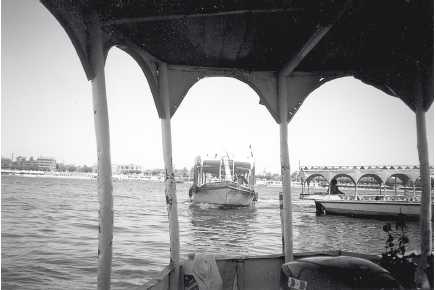 Иллюстрация к книге — Древние цивилизации [i_742.jpg]