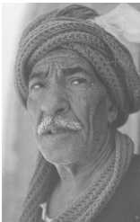 Иллюстрация к книге — Древние цивилизации [i_752.jpg]