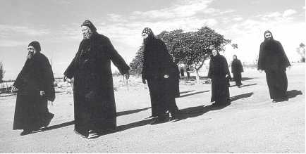 Иллюстрация к книге — Древние цивилизации [i_758.jpg]