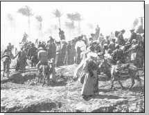 Иллюстрация к книге — Древние цивилизации [i_796.jpg]