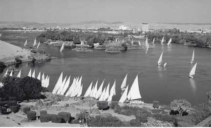 Иллюстрация к книге — Древние цивилизации [i_840.jpg]