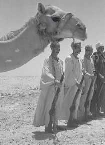 Иллюстрация к книге — Древние цивилизации [i_856.jpg]