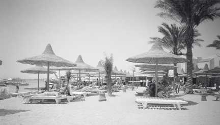 Иллюстрация к книге — Древние цивилизации [i_858.jpg]