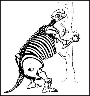 Иллюстрация к книге — 1421 год, когда Китай открыл мир [i_023.jpg]