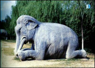 Иллюстрация к книге — 1421 год, когда Китай открыл мир [i_031.jpg]