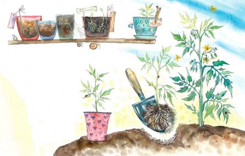 Иллюстрация к книге — Жизнь замечательных растений [zhizn_zamechatelny_rastenijj00211.jpg]