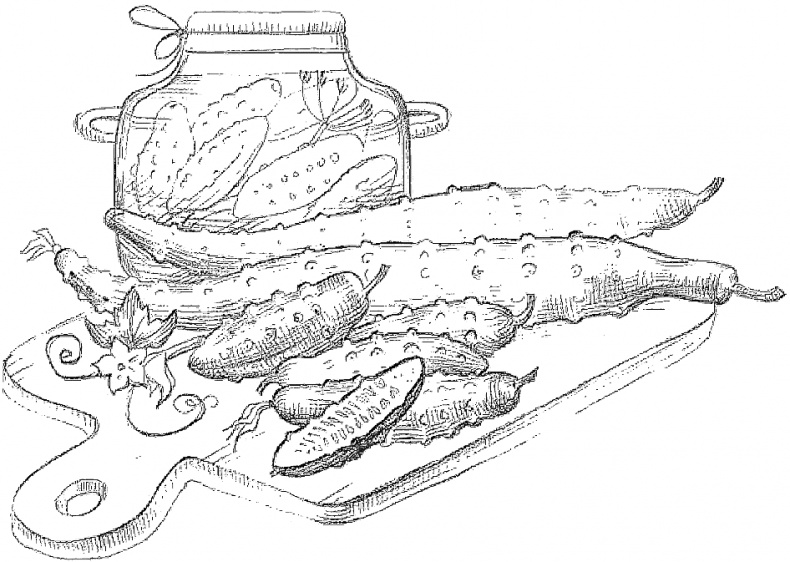 Иллюстрация к книге — Жизнь замечательных растений [zhizn_zamechatelny_rastenijj00301.jpg]