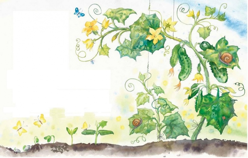 Иллюстрация к книге — Жизнь замечательных растений [zhizn_zamechatelny_rastenijj0031.jpg]