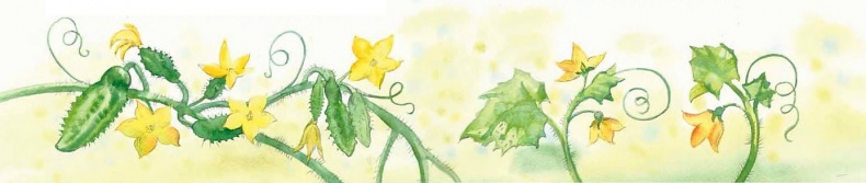 Иллюстрация к книге — Жизнь замечательных растений [zhizn_zamechatelny_rastenijj00331.jpg]