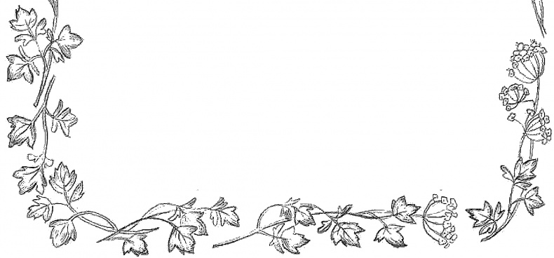 Иллюстрация к книге — Жизнь замечательных растений [zhizn_zamechatelny_rastenijj00392kopija1.jpg]