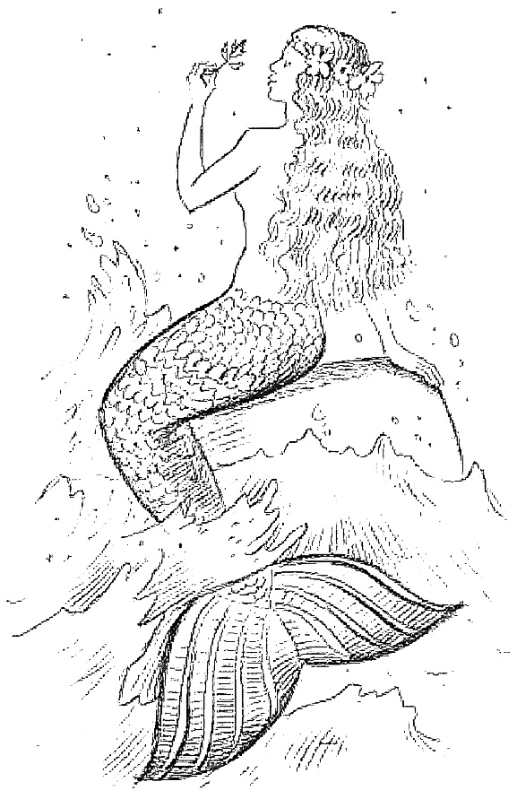 Иллюстрация к книге — Жизнь замечательных растений [zhizn_zamechatelny_rastenijj0040kopija1.jpg]