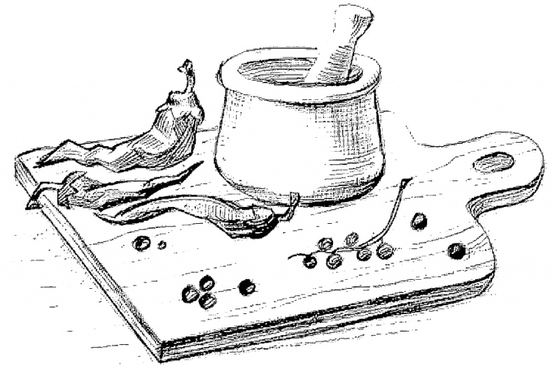 Иллюстрация к книге — Жизнь замечательных растений [zhizn_zamechatelny_rastenijj00481.jpg]