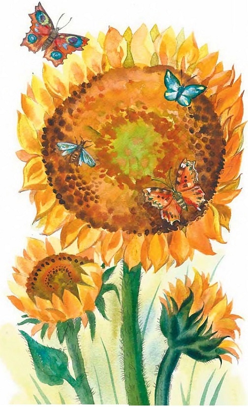 Иллюстрация к книге — Жизнь замечательных растений [zhizn_zamechatelny_rastenijj00511.jpg]