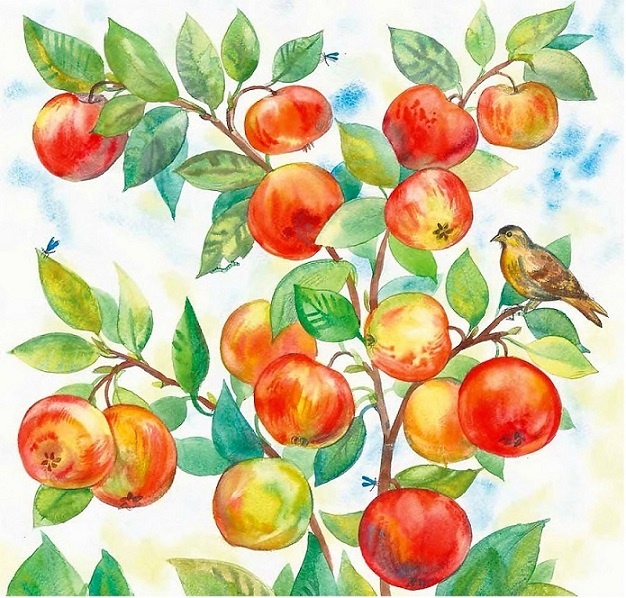 Иллюстрация к книге — Жизнь замечательных растений [zhizn_zamechatelny_rastenijj00811.jpg]