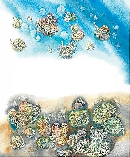 Иллюстрация к книге — Жизнь замечательных растений [zhizn_zamechatelny_rastenijj0093.jpg]