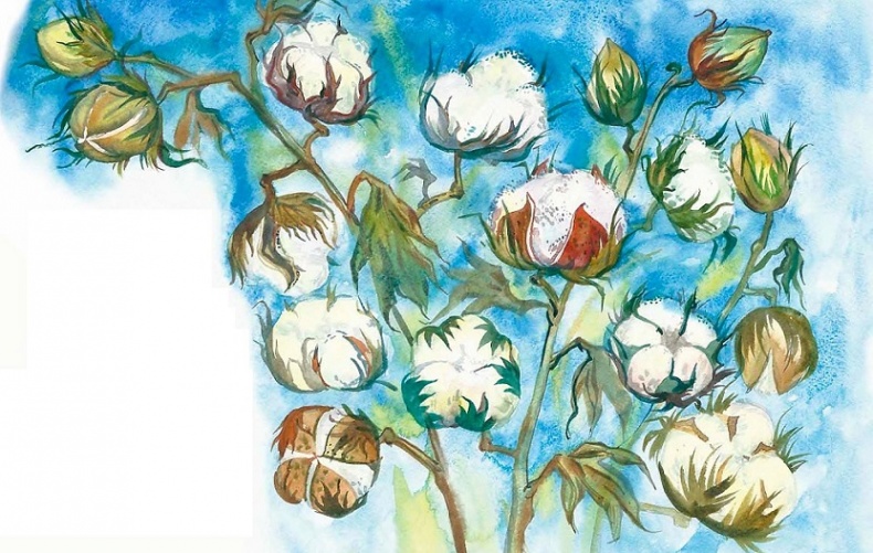 Иллюстрация к книге — Жизнь замечательных растений [zhizn_zamechatelny_rastenijj01091.jpg]