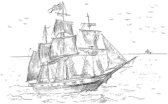 Иллюстрация к книге — Жизнь замечательных растений [zhizn_zamechatelny_rastenijj01111.jpg]