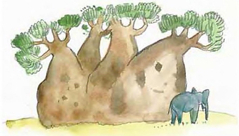 Иллюстрация к книге — Жизнь замечательных растений [zhizn_zamechatelny_rastenijj01311.jpg]