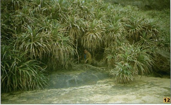 Иллюстрация к книге — Закат империи восходящего солнца [i_013.jpg]