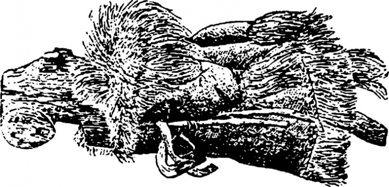 Иллюстрация к книге — Феномен куклы в традиционной и современной культуре. Кросскультурное исследование идеологии антропоморфизма [i_001.jpg]