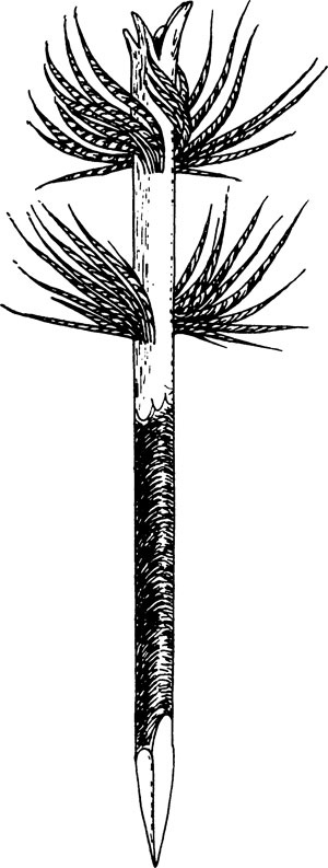 Иллюстрация к книге — Феномен куклы в традиционной и современной культуре. Кросскультурное исследование идеологии антропоморфизма [i_052.jpg]