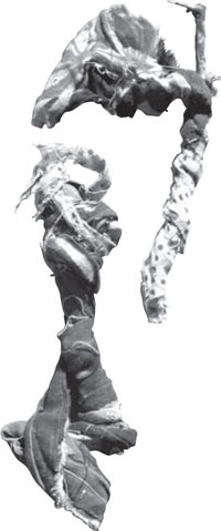 Иллюстрация к книге — Феномен куклы в традиционной и современной культуре. Кросскультурное исследование идеологии антропоморфизма [i_170.jpg]