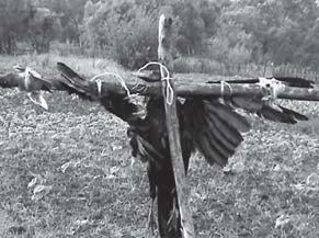 Иллюстрация к книге — Феномен куклы в традиционной и современной культуре. Кросскультурное исследование идеологии антропоморфизма [i_179.jpg]