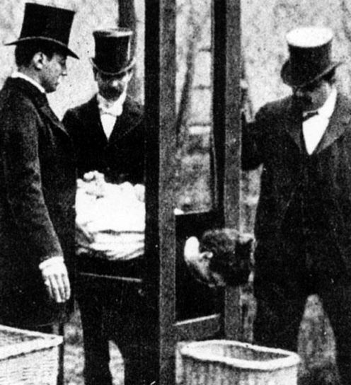 Иллюстрация к книге — Смертная казнь. История и виды высшей меры наказания от начала времен до наших дней [i_226.jpg]