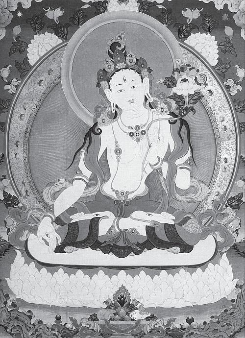 Иллюстрация к книге — Тибет: сияние пустоты [_60.jpg]